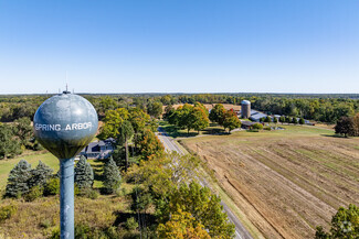 Spring Arbor