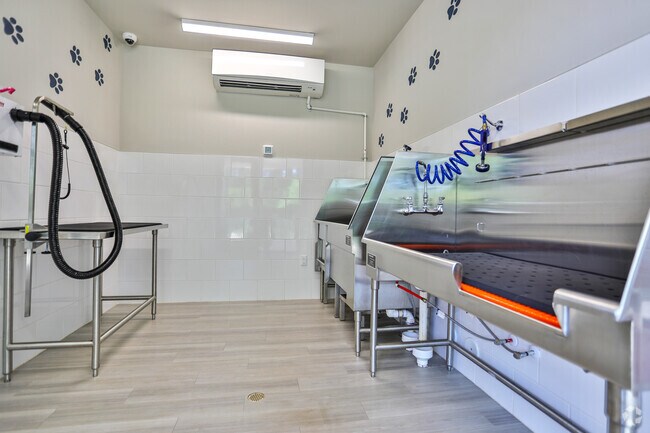Pet Spa