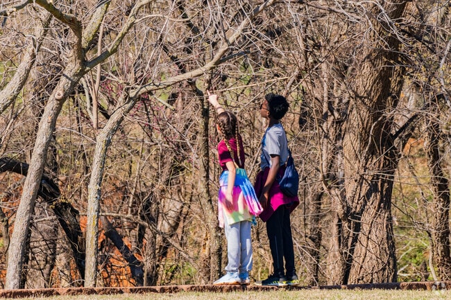 Bluff Creek Park provides an excellent space for kids to learn and connect with nature.