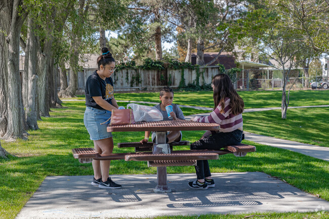 Friends hang out in the shade at Brown’s Meadow Park.
