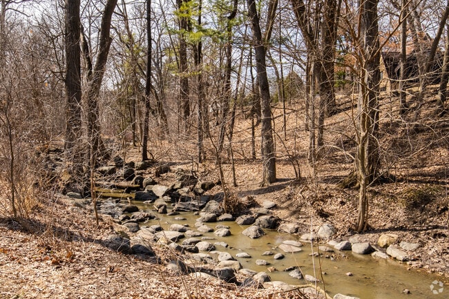 A Creek Runs Through the Nakoma neighborhood
