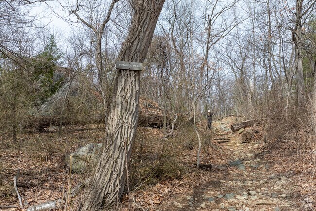 Pinnacle Rock Trailhead kicks off with some steep steps that eventually level out and provide a fun afternoon hike in Upper Highlands.