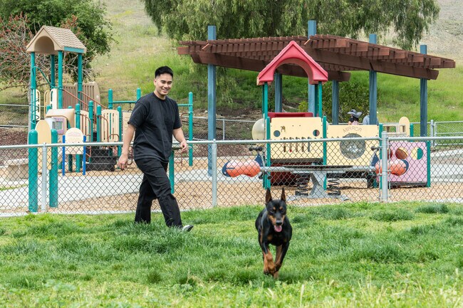 Dogs and their owners enjoy the sunshine at Basking Ridge Park’s off-leash space.