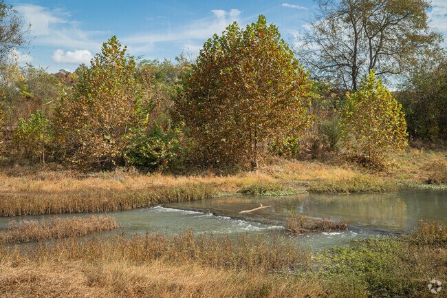 Blue Spring offers many spots for outdoor connection and relaxation.