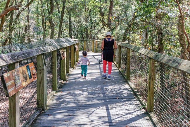 Visitors enjoy quiet moments with nature along the Tallahassee Museum boardwalk.