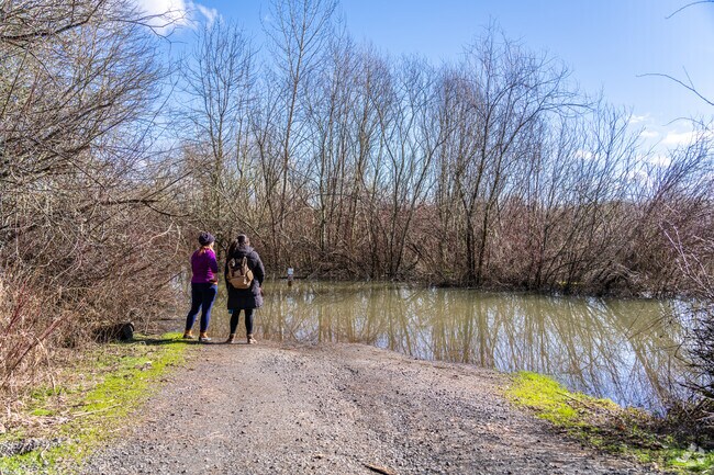Rainy season brings occasional flooding to Jackson Bottom Wetlands in South Hillsboro.
