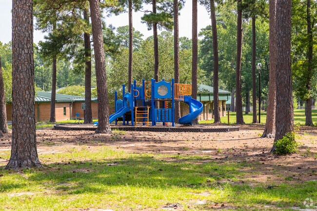 A. J. Lewis Greenview Elementary School in Columbia has several playgrounds.