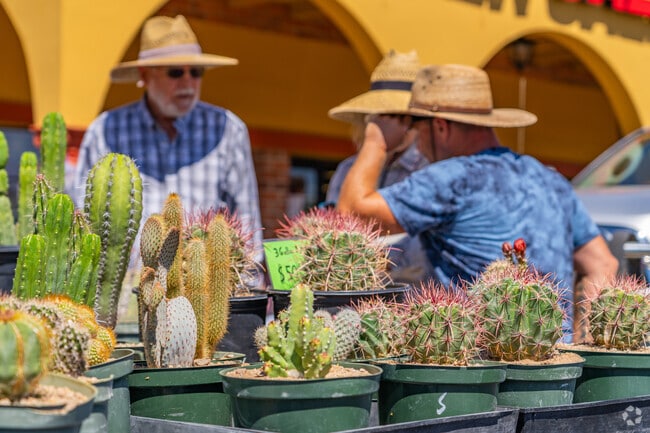 Succulent and cactus arrangements are among the many plants sold by vendors at the Heirloom Farmers Market in Green Valley.