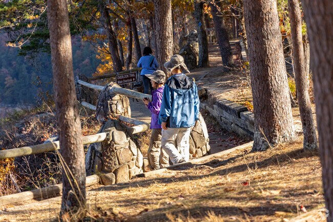 Scenic overlooks allow people to take in breathtaking views of the canyon from above.