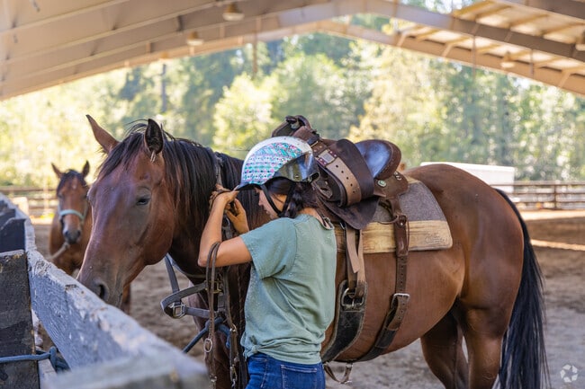 Belus Horse Training in Clinton offers a place for equestrian activities.