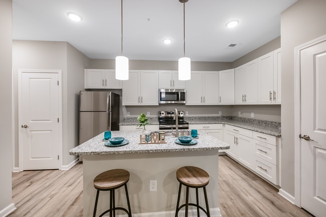 Emerson Point, Elon, NC 27244 - photo 4