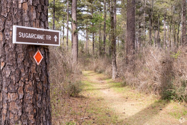 Take a hike along many of the trails that wind through the woods at Caney Lakes near Minden.