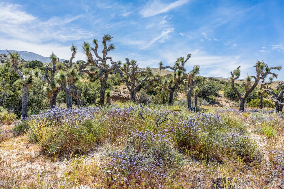 NH_SouthAntelopeValley_545561_022224_R1_PM_V1