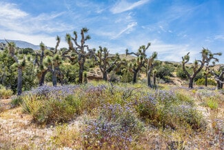 Southeast Antelope Valley