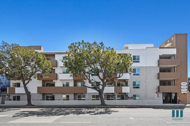 Front View of Venice Wave by WIseman