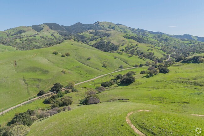 Mount Diablo's open spaces border the Pine Creek neighborhood.