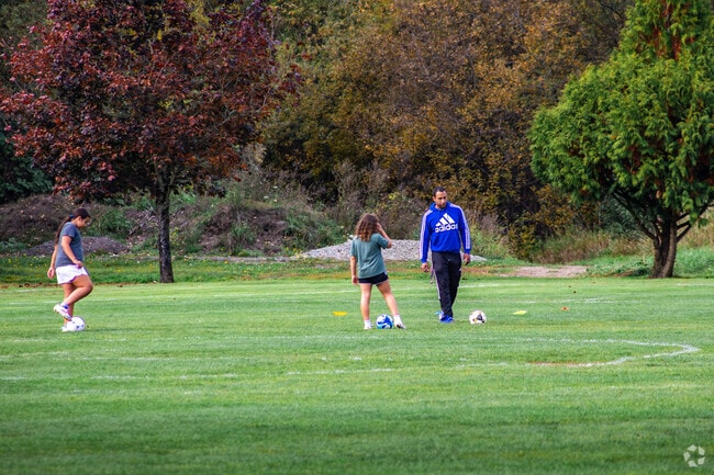 Pioneer Park in Tumwater has spacious soccer fields.