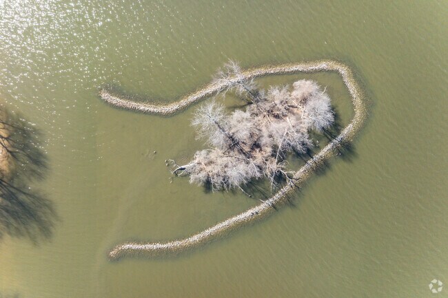 A small island near Shore Hills Country Club Park and Boat Launch is filled with wildlife.