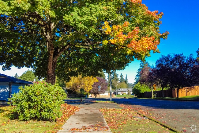 Take a walk along the green, leafy, and peaceful streets of the Plateau neighborhood.