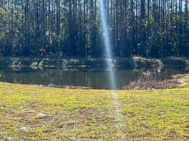 25 Mainland Lakes Dr, Bluffton, SC 29910 - photo 3