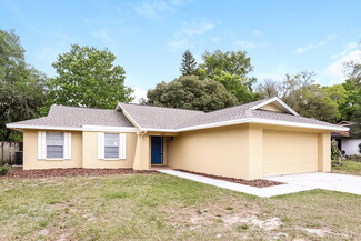 909 Black Knight Dr, Valrico, FL 33594
