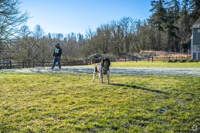 Island Point offers many open, natural areas to bring your four legged friend to play.