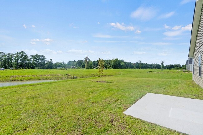 993 Cherrystone Loop, Conway, SC 29526 - photo 3