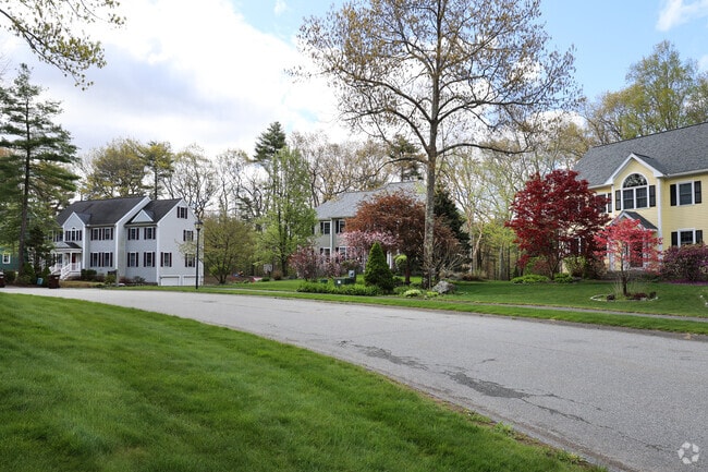 Georgetown homes are large and expansive on well groomed streets.