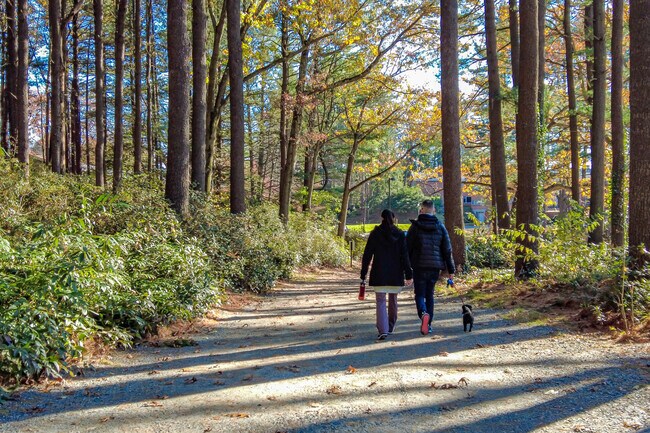 Enjoy a stroll through The Moncrieff Cochran Bird Sanctuary in Andover.