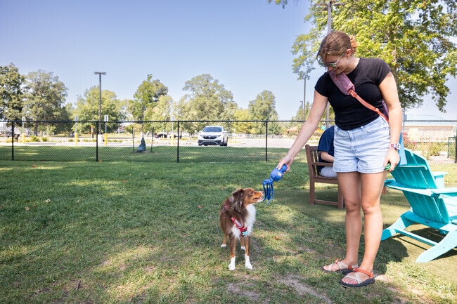 McCaw Park near Potter Hollow is home to a beautiful dog park for your furry friends.