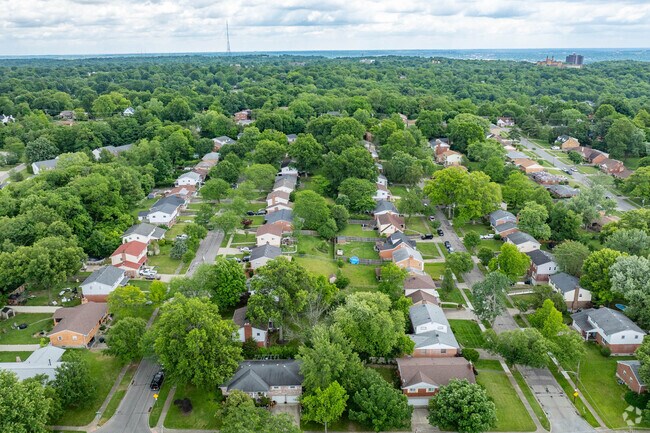 Mount Airy is a green suburban neighborhood with many homes to choose from.
