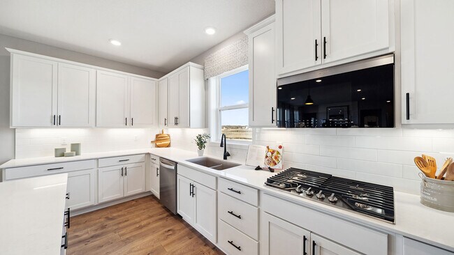 1532 Clover Preserve Way, Chaska, MN 55318 - photo 4