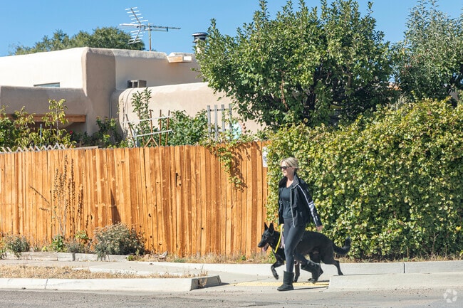 The streets of La Nueva Casa Solana are clean and safe, dog walker approved.