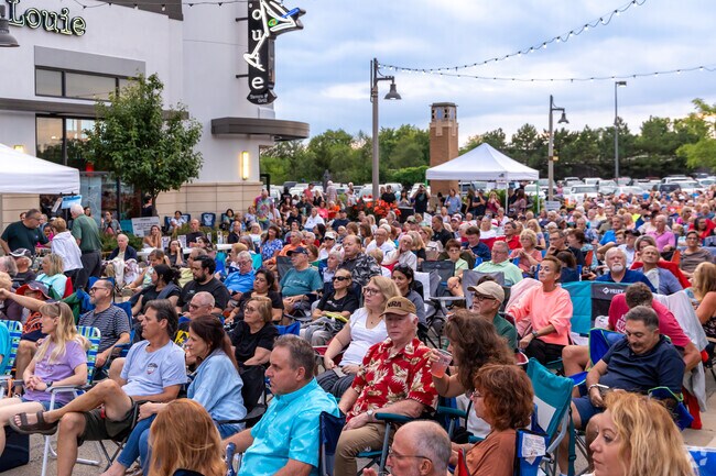 Summer Concert Series at the Promenade Bolingbrook has an amazing turn out.