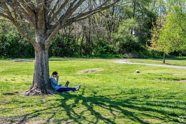 A Person Sitting Under a Tree in the Jim Warren Park Near the Downtown Franklin Neighborhood.