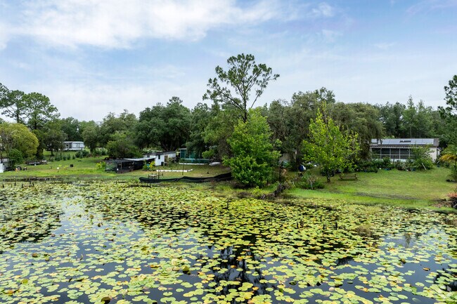 Many Pine Lakes homes line the lakes across the community.