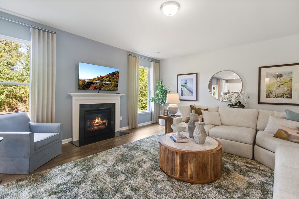 1738 Sweet Meadow Ct, Lexington, SC 29073 - photo 1