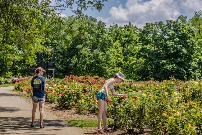 Located in Clintonville, Columbus Parks of Roses is a local favorite during the summer.