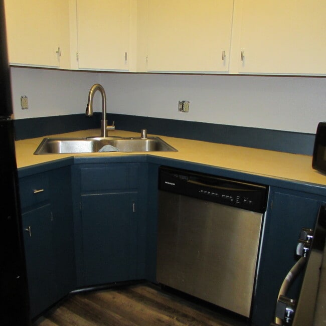 Kitchen Faucet and dishwasher