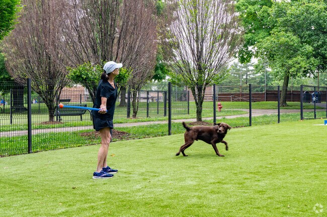 Head to Bluebird Park in Ellisville for a quick round of fetch at the dog park.