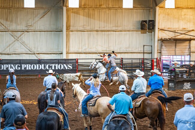 Windmill residents can watch the exhilarating ZIA Cattle Roping contest at South Plains Fairgrounds.