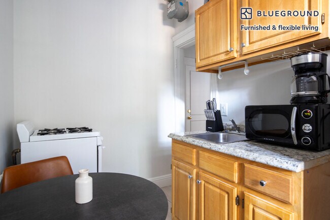 49 Worthington St unit FL1-ID1072, Boston, MA 02120 - photo 4