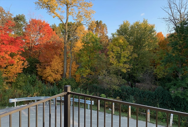 916 Yorkshire Ln, Zionsville, IN 46077 - photo 2