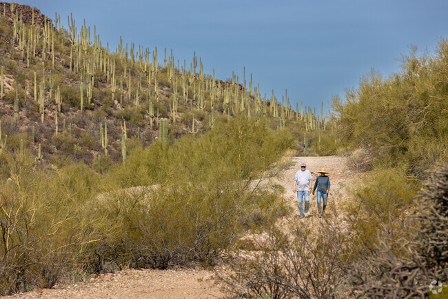 Sentinel Peak Park is a favorite amongst hikers in Santa Cruz Southwest.