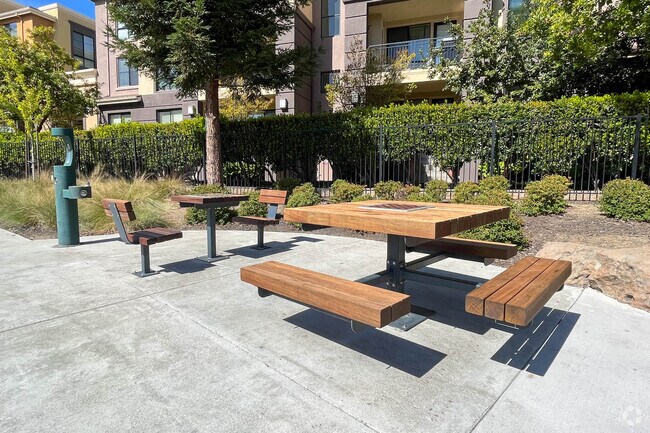 Chess players of all levels challenge each other at Main Street Park in Downtown Cupertino.