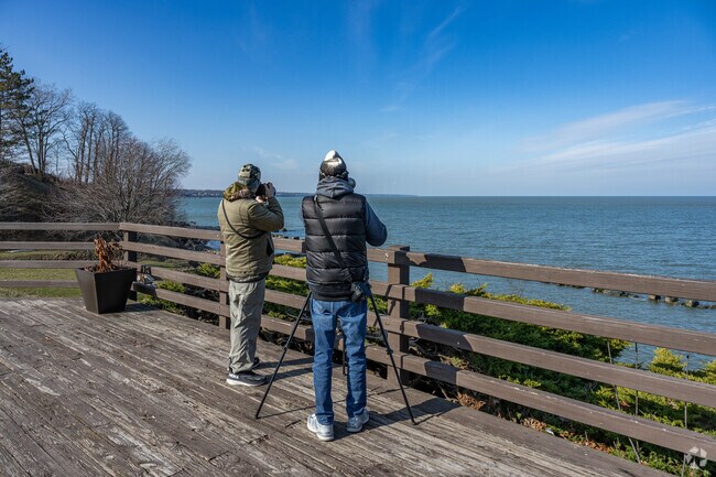 Rocky River Park, with its scenic overlook, is an ideal place for bird watching.
