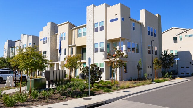 Community_Meadows District at 3Roots_5216_120325_V2