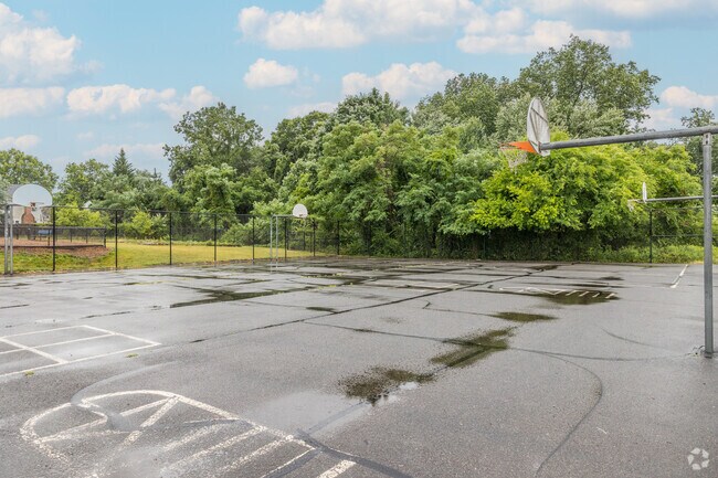 Basketball Court
