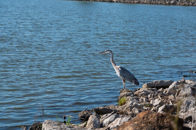 North Bridge residents take good care of their environment.