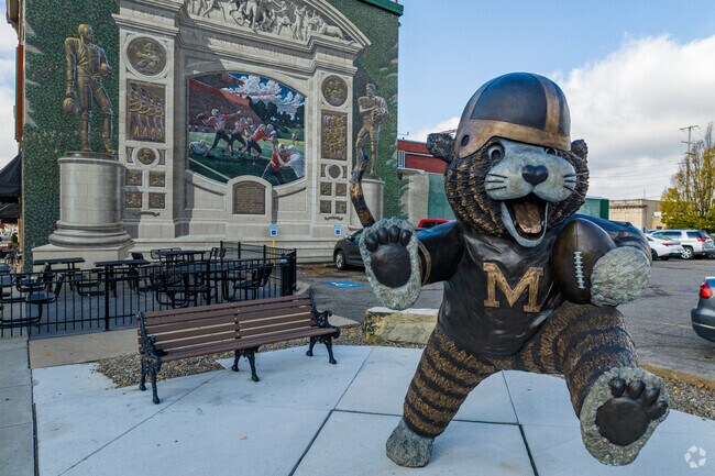 The Massillon Tigers were an early professional football team from Massillon, Ohio.